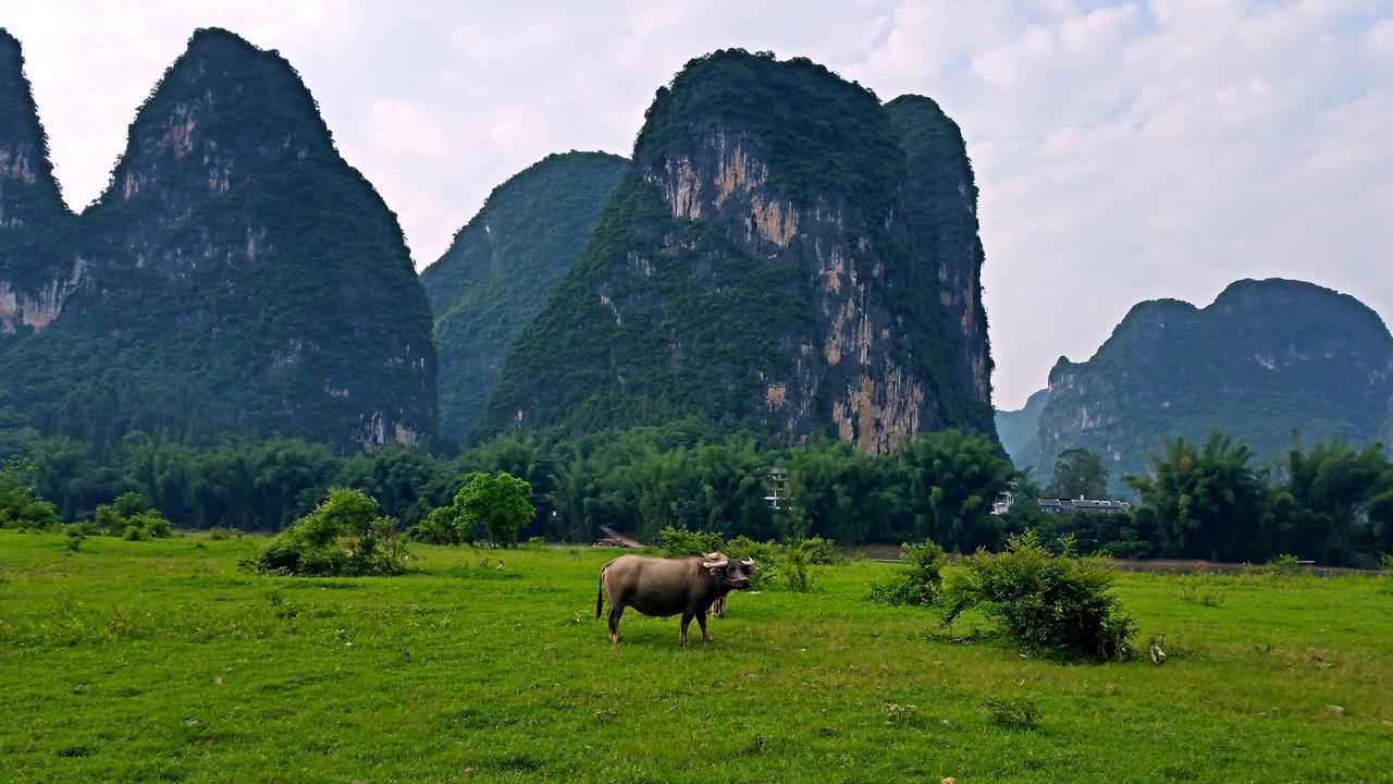 Li-River Island Resort Xingping Yangshuo Exteriör bild